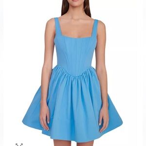 Staud Landscape Bustier Mini Dress